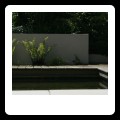 Pebbles, timber, tiles and water, the Perfect combination to show off some architectural planting