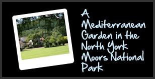 A Mediterranean garden in the North York Moors National Park 