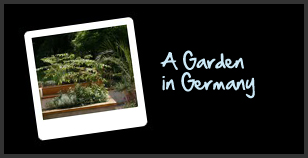 A garden in Germany 